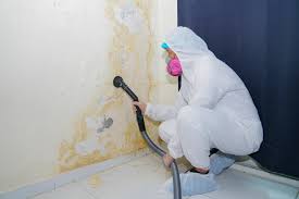 Best Mold Removal for HVAC Installations  in Benbrook, TX